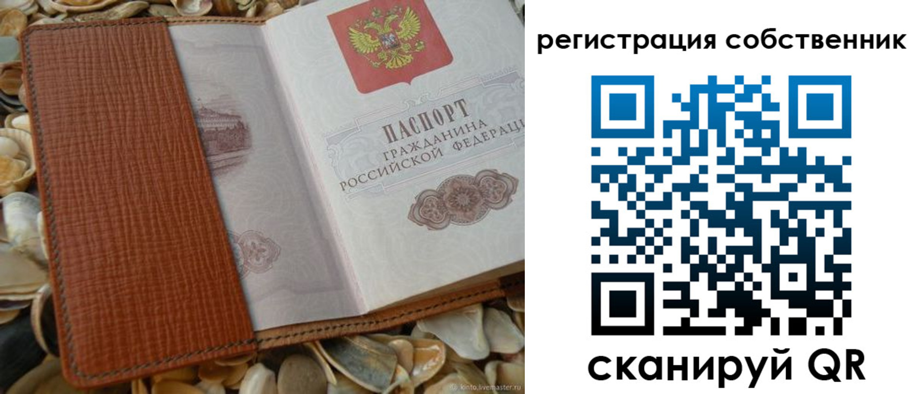 временная регистрация для школы в Щёлково
